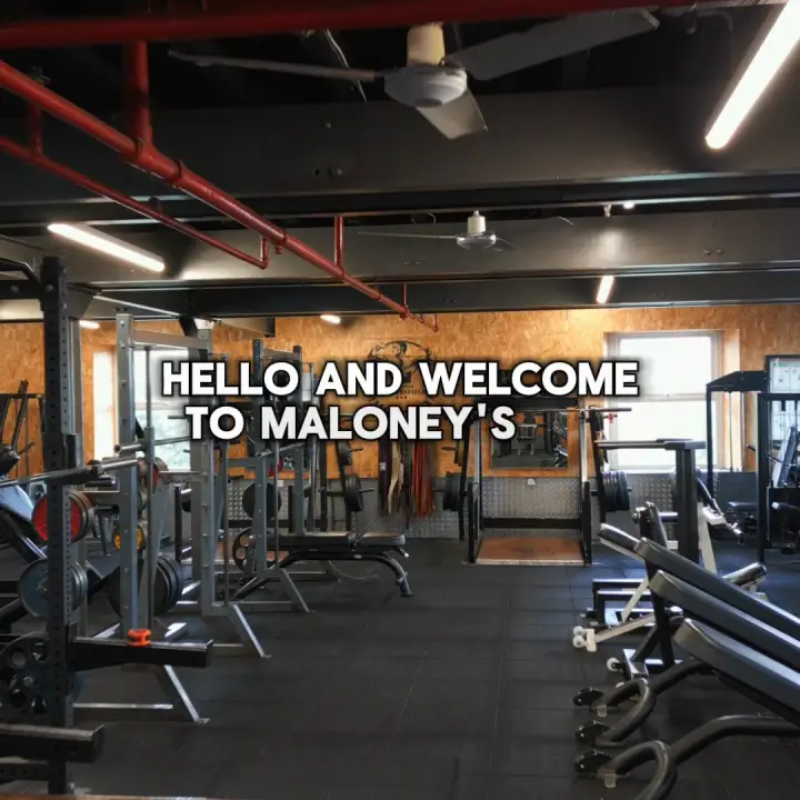 Inside Maloneys Gym
